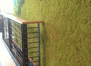 Moss/Succulent Wall